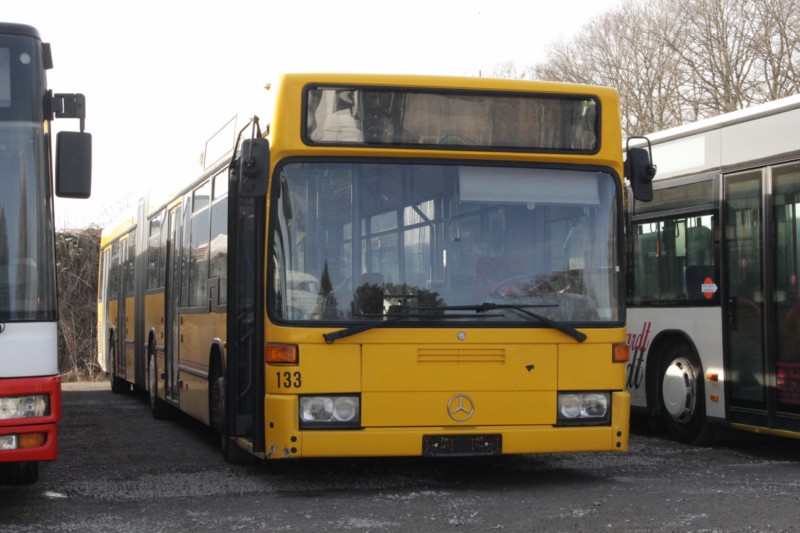 ex Enders ex Bernhardt ex Lücking