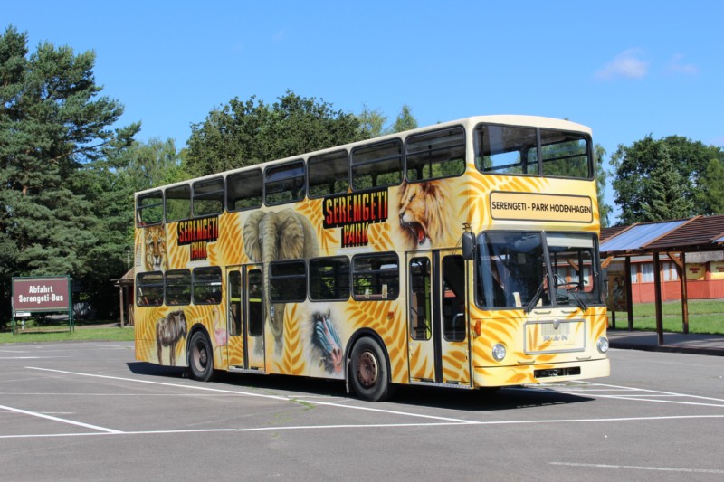 Serengetipark Hodenhagen Bus 20