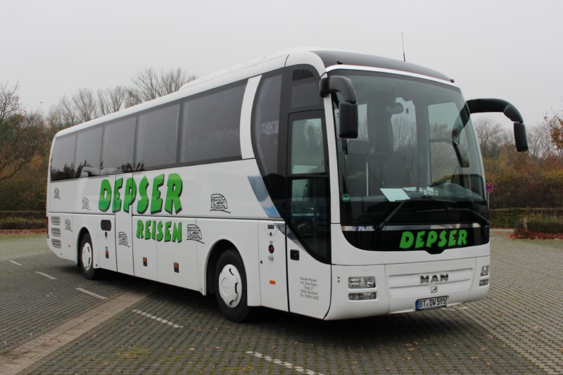 Depser BT-DW 595