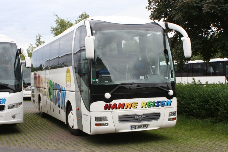 Hanne HI-HR 393