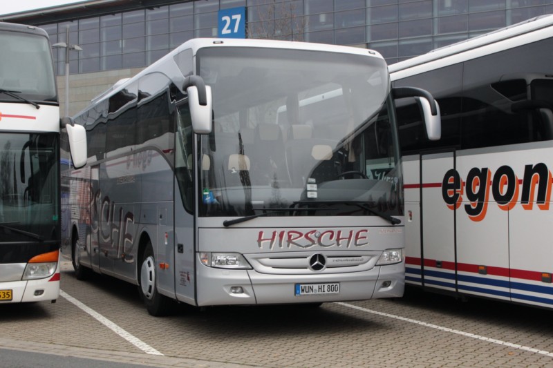 Hirsche WUN-HI 800