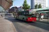 Buschmann (140)